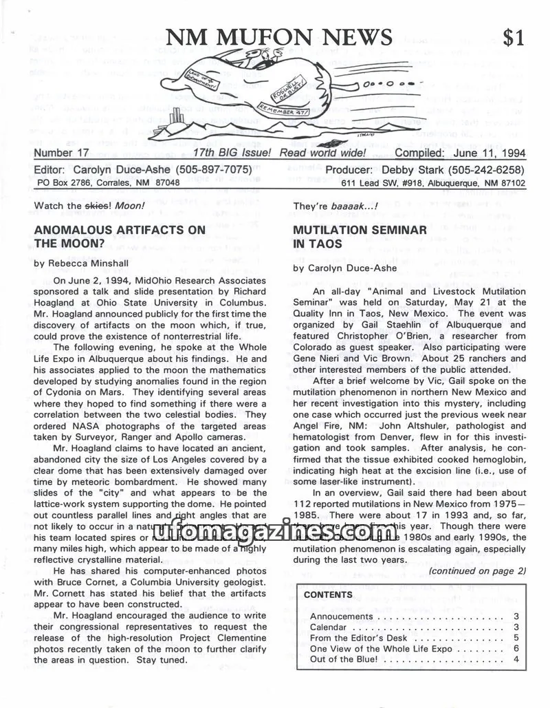Cover of MUFON New Mexico (NM MUFON News) issue 17: NM MUFON NEWS