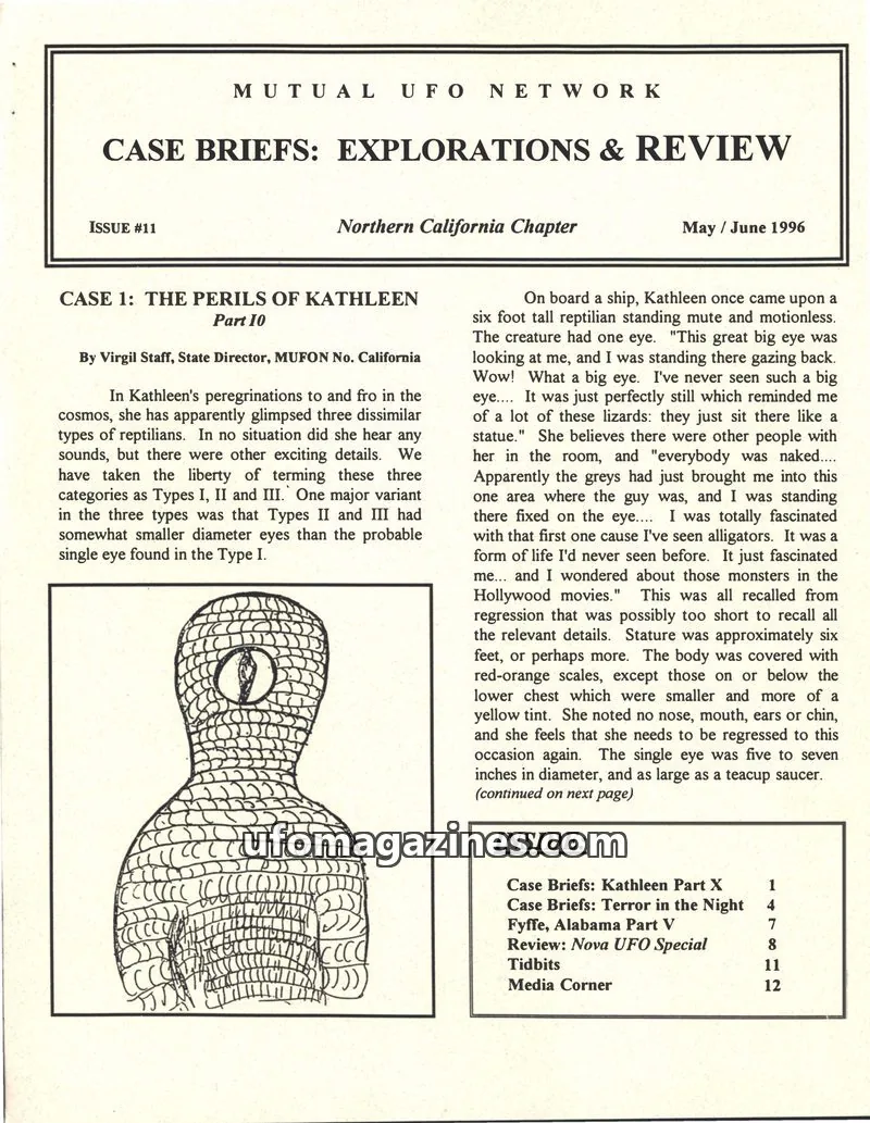 Cover of MUTUAL UFO NETWORK, INC. issue #11: CASE BRIEFS: EXPLORATIONS & REVIEW