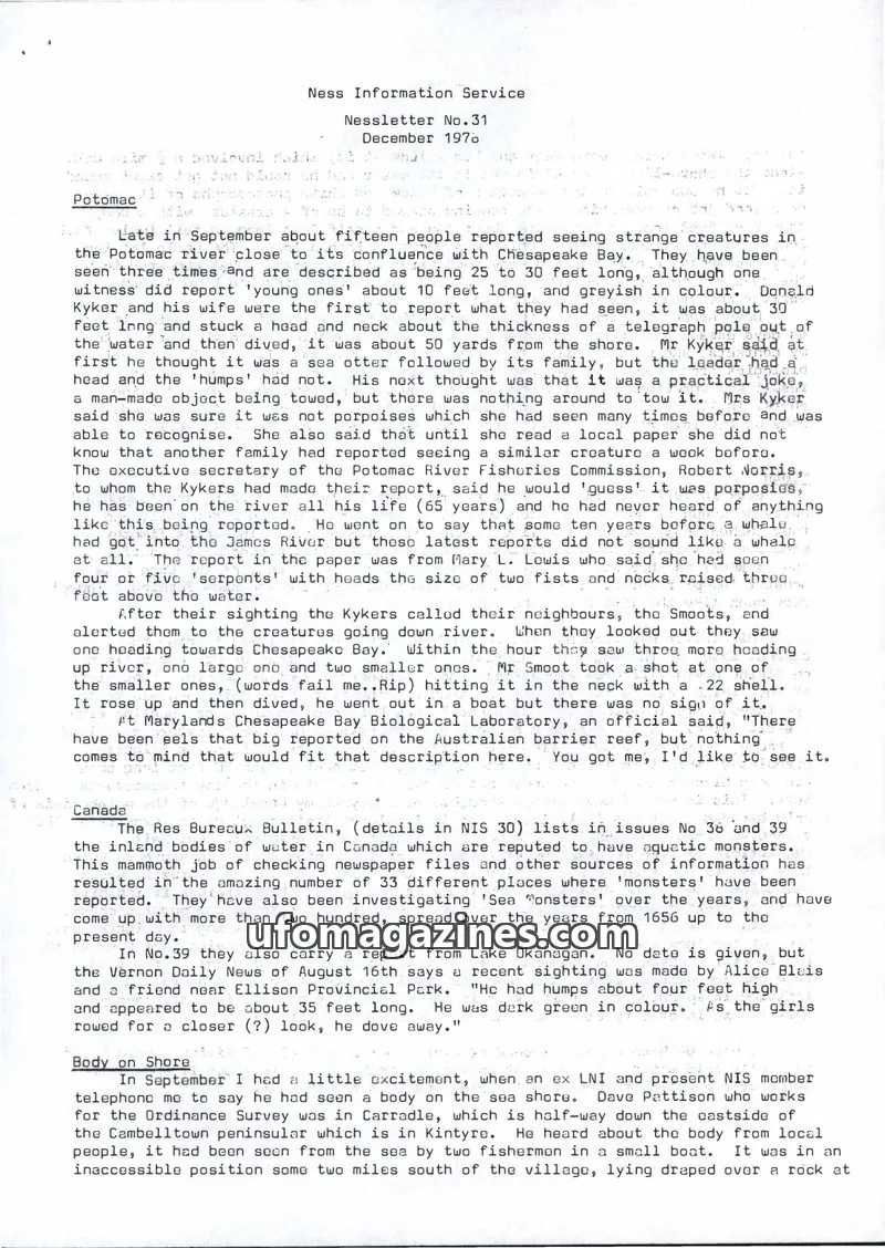 Cover of Ness Information Service issue 31: Nessletter
