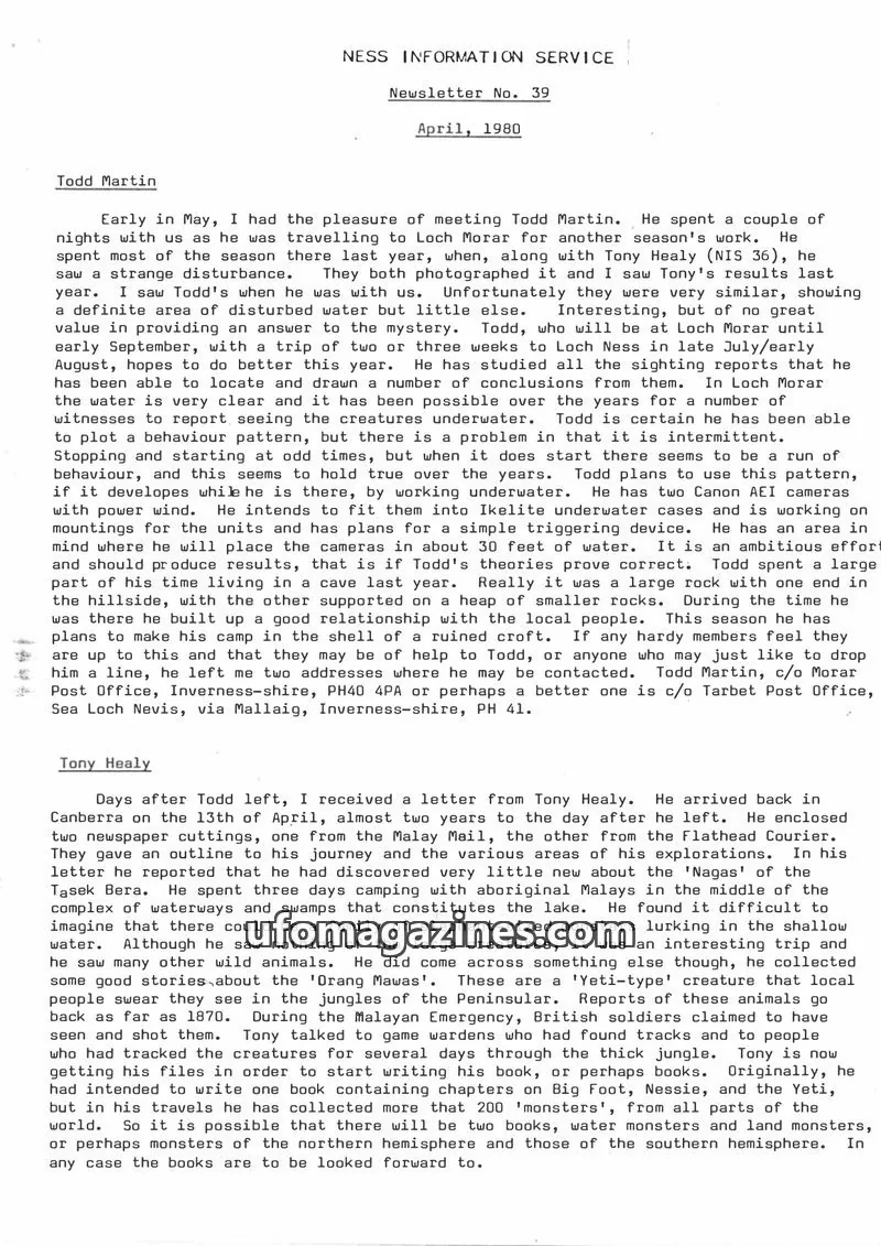 Cover of NESS INFORMATION SERVICE issue Newsletter No. 39: NESS INFORMATION SERVICE