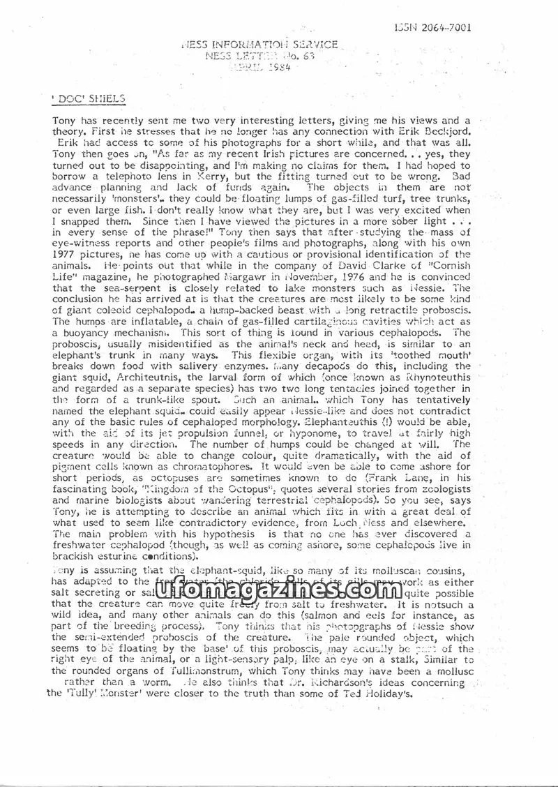 Cover of NESS INFORMATION SERVICE issue No. 63: NESS INFORMATION SERVICE NESS LETTER