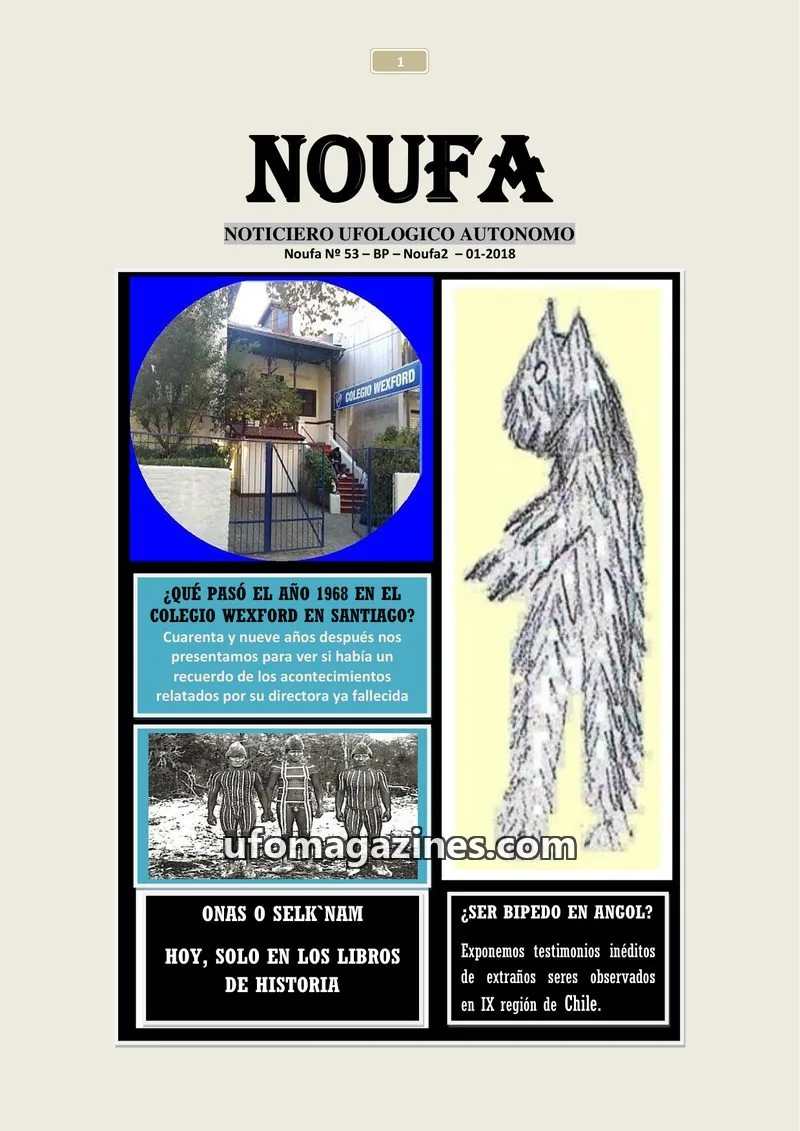 Cover of Noticiero Ufologico Autonomo (Galvez) issue 53: NOUFA