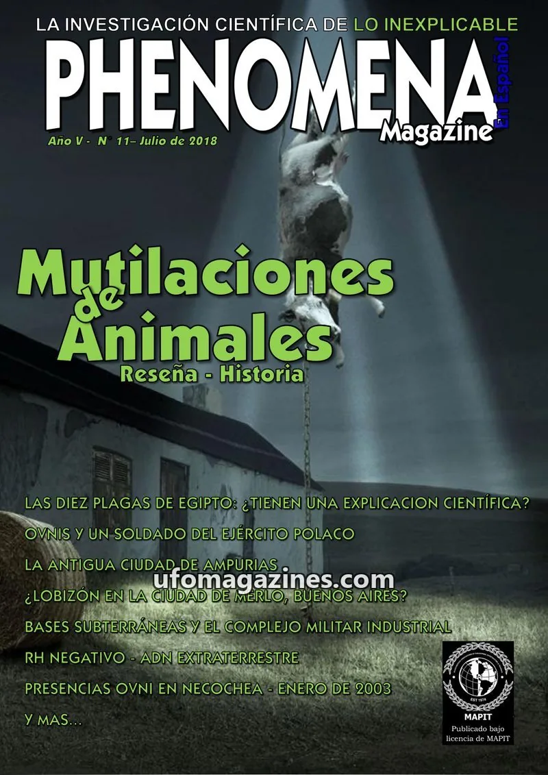 Cover of MAPIT issue 11: PHENOMENA