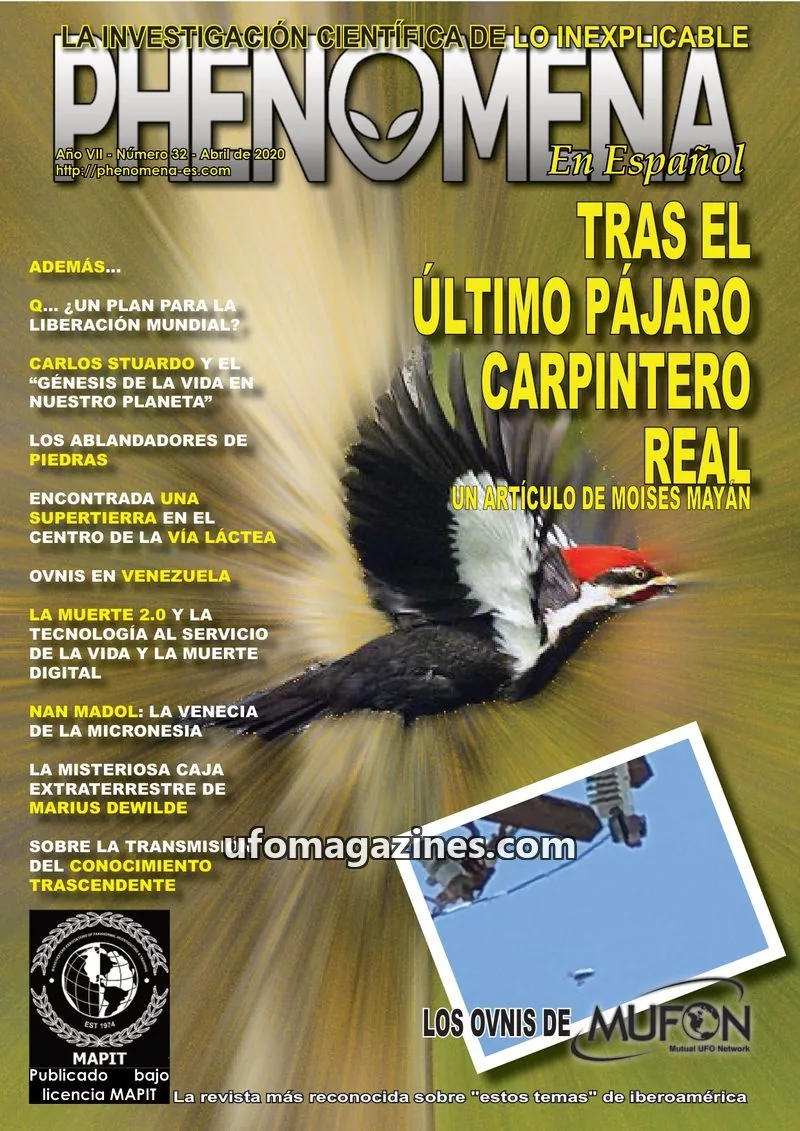 Cover of MAPIT issue 32: PHENOMENA