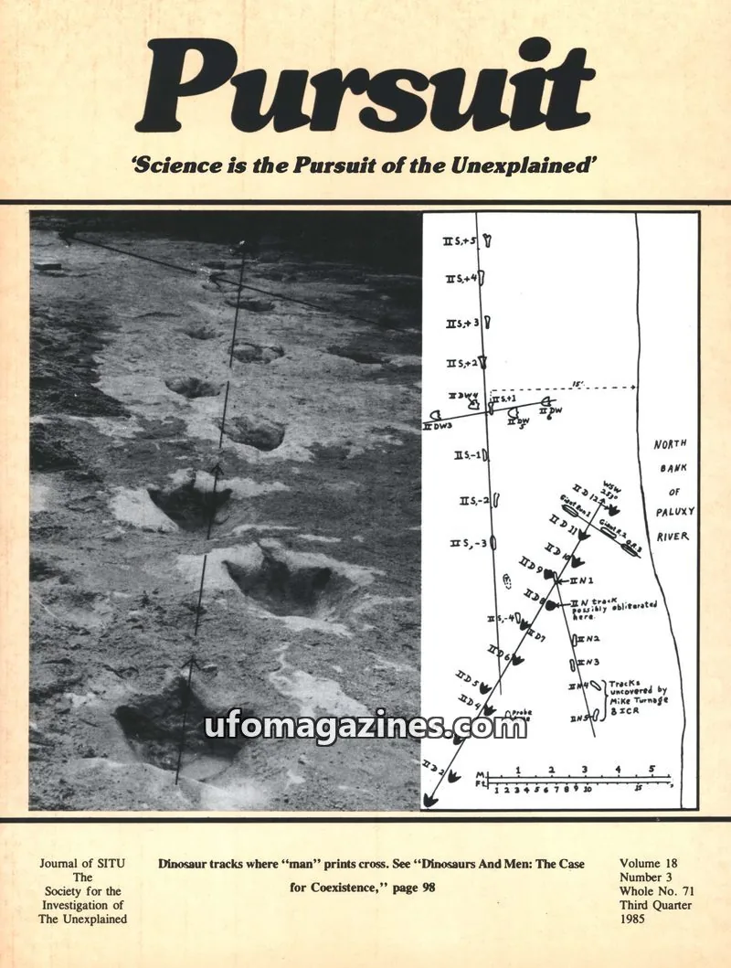 Cover of The Society for the Investigation of The Unexplained issue 3: Pursuit