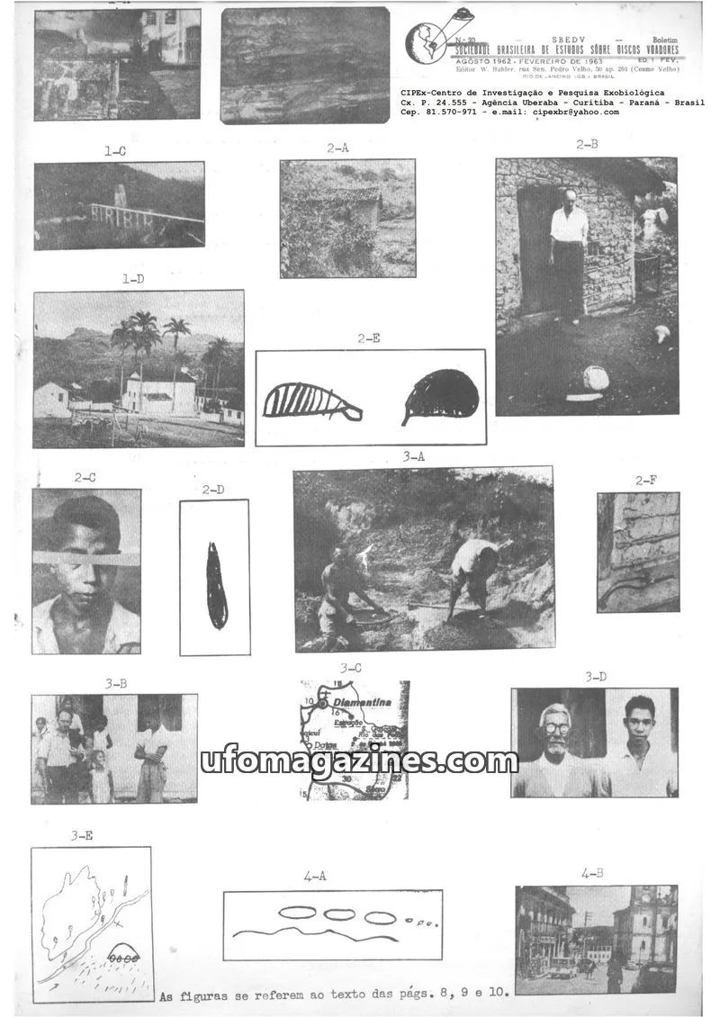 Cover of SBEDV issue 30: SBEDV Boletim Informativo