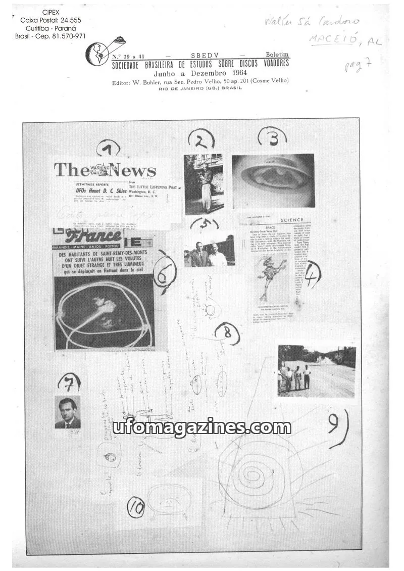 Cover of SBEDV issue 39 a 41: Boletim SBEDV