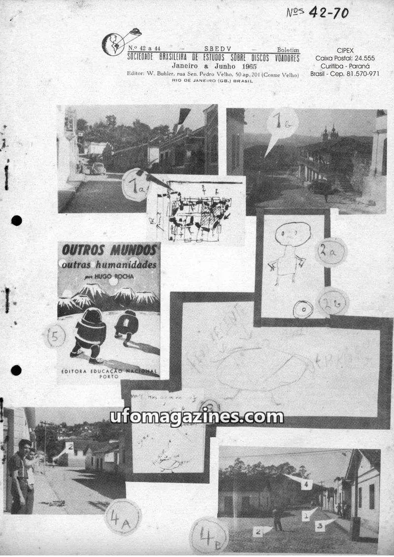 Cover of SBEDV issue 42-44: Boletim SBEDV