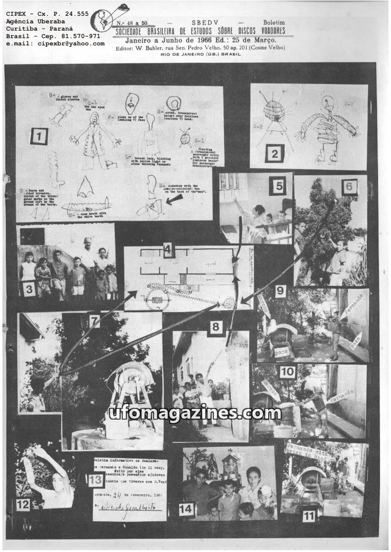 Cover of SBEDV issue 48 a 50: SBEDV Boletim