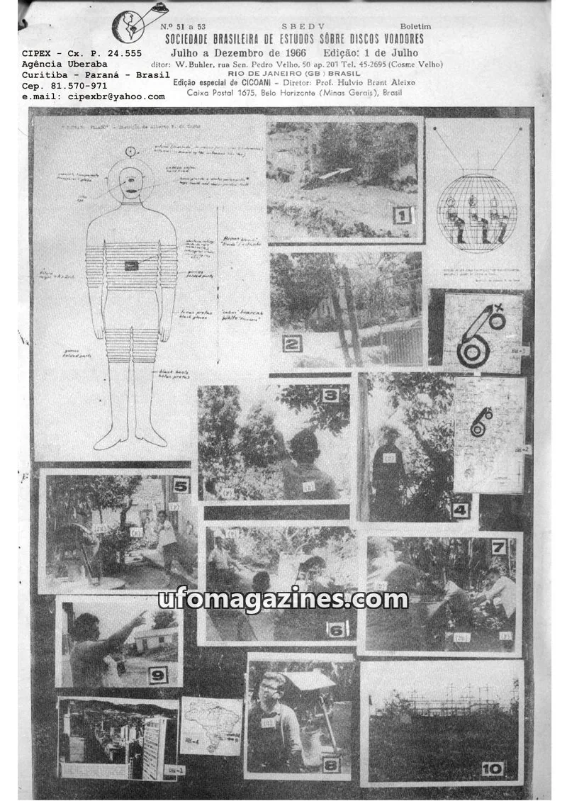 Cover of SBEDV issue 51 a 53: SBEDV Boletim