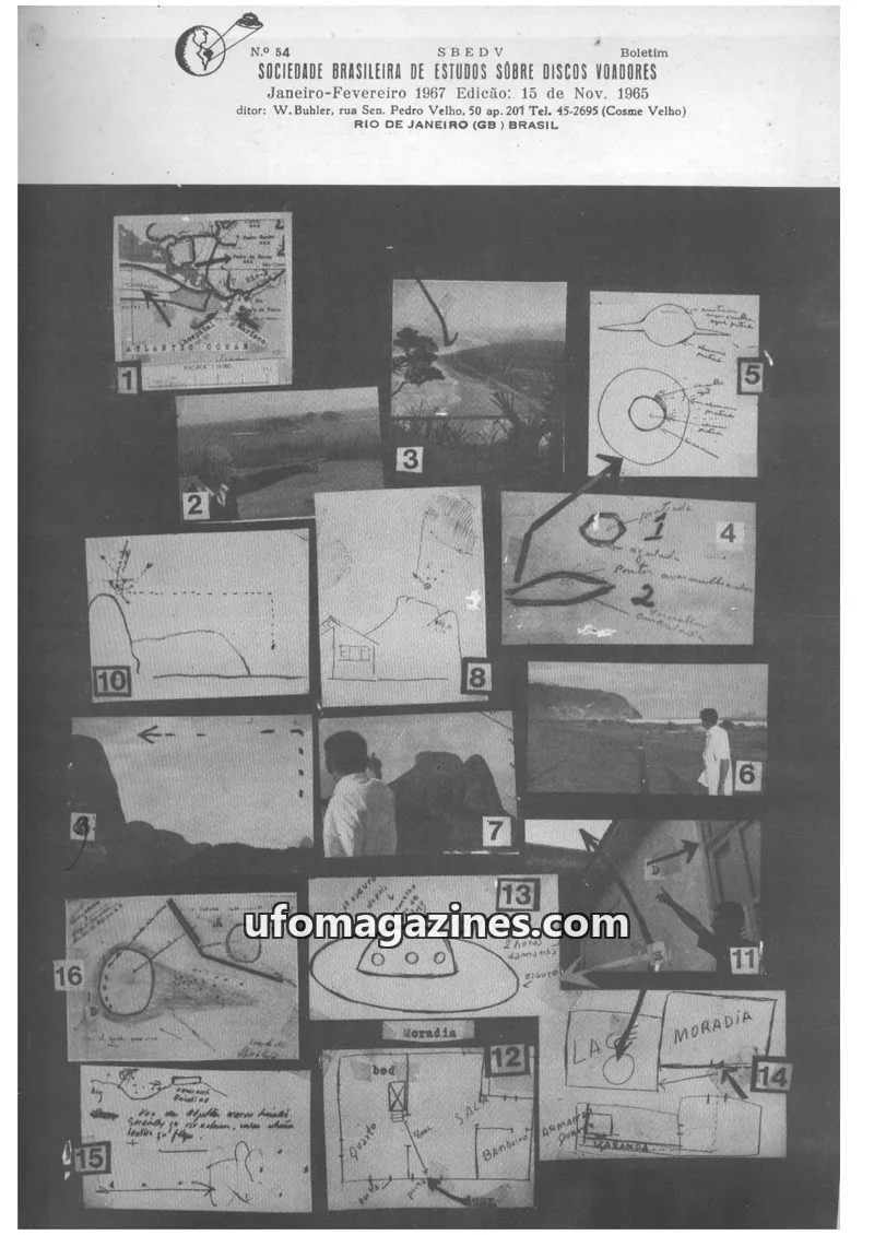 Cover of SBEDV issue 54: SBEDV Boletim