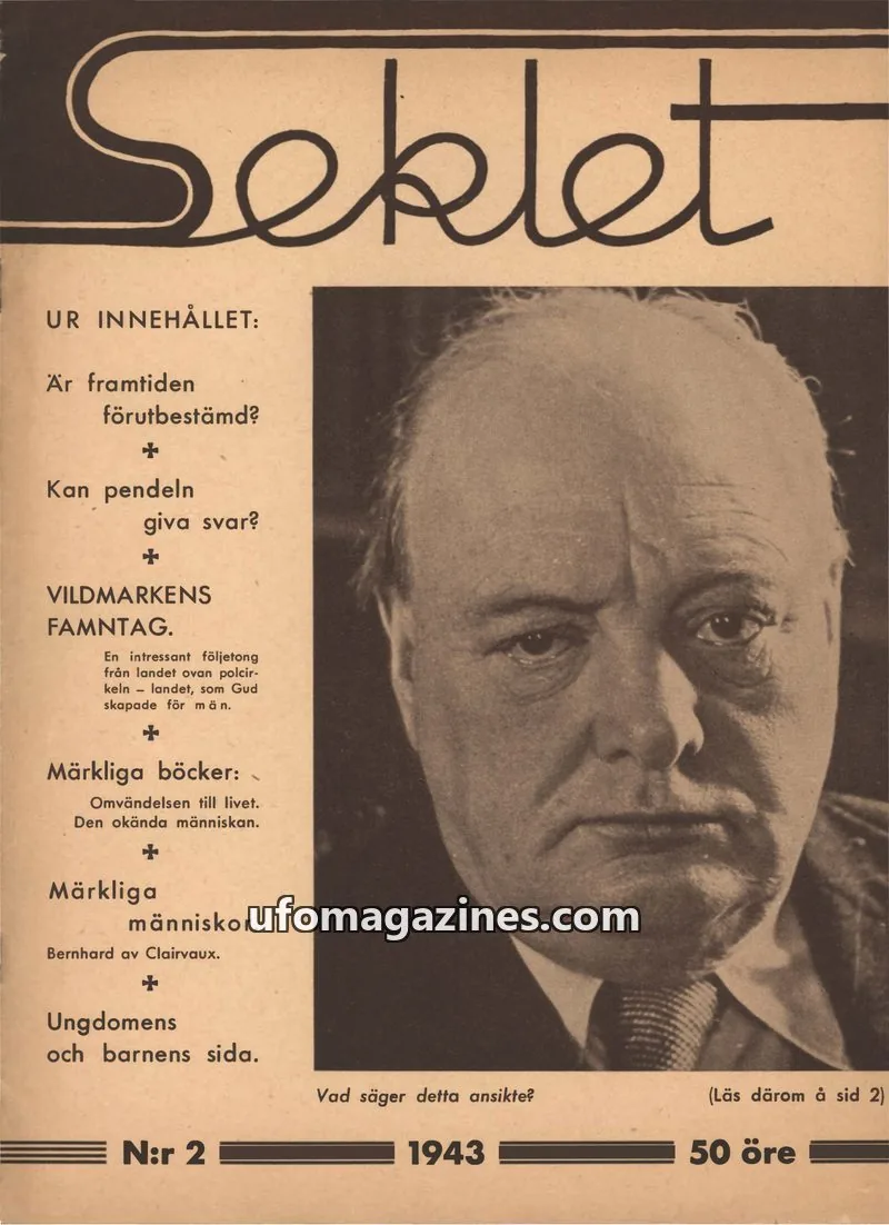 Cover of Seklet issue 2: Seklet