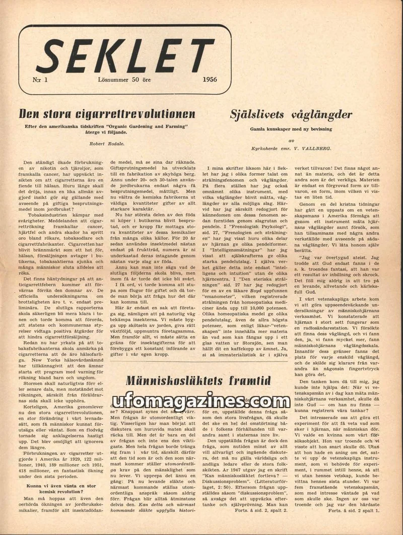 Cover of Seklet issue 1: SEKLET
