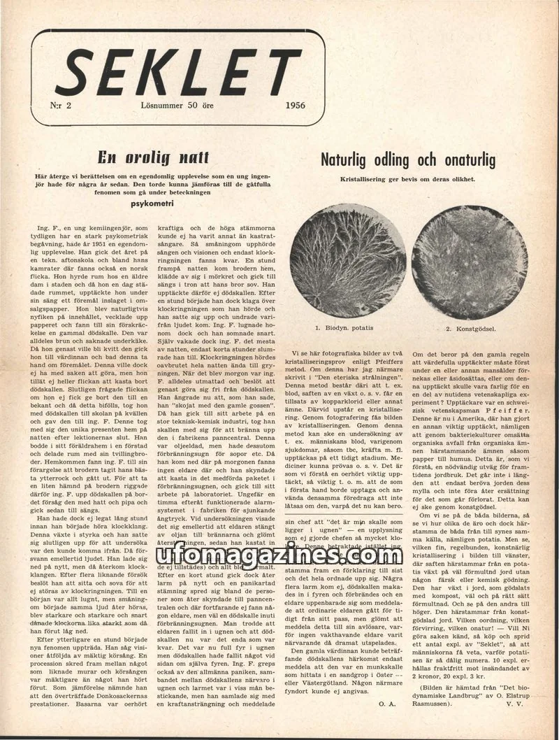 Cover of Seklet issue 2: SEKLET