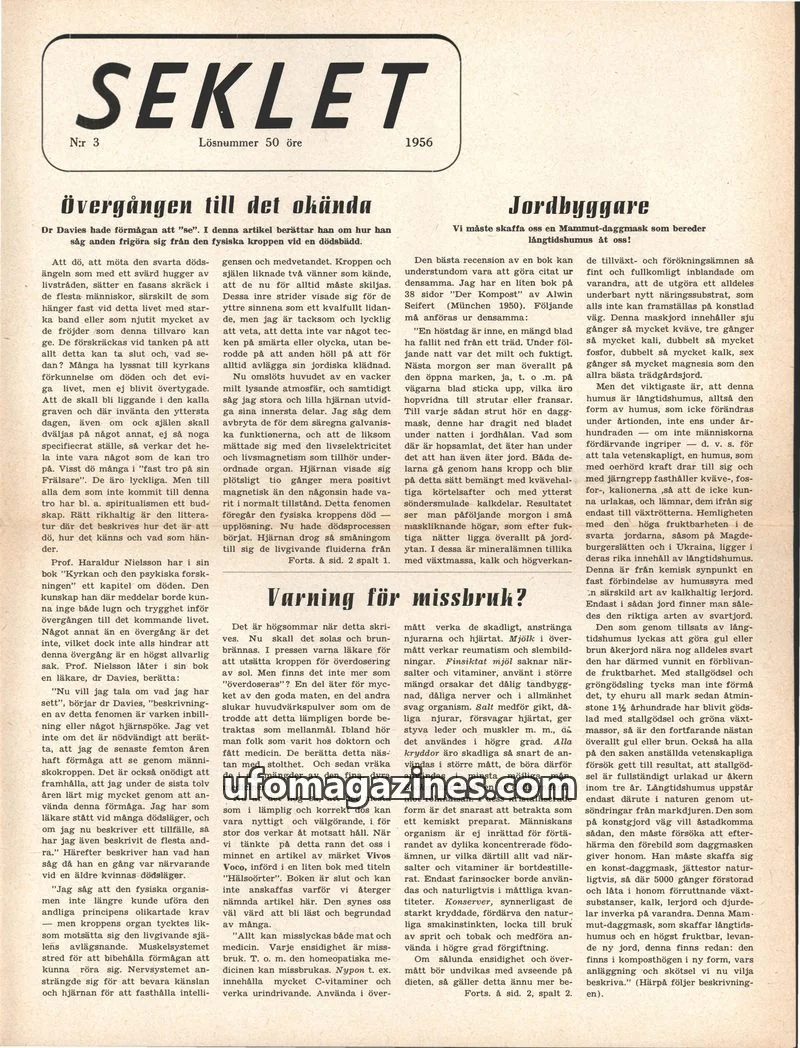 Cover of Seklet issue 3: SEKLET