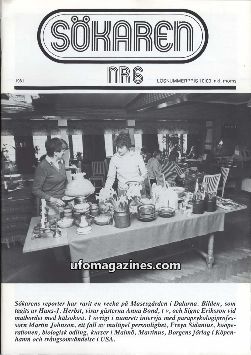 Cover of Sokaren issue NR 6: SÖKAREN