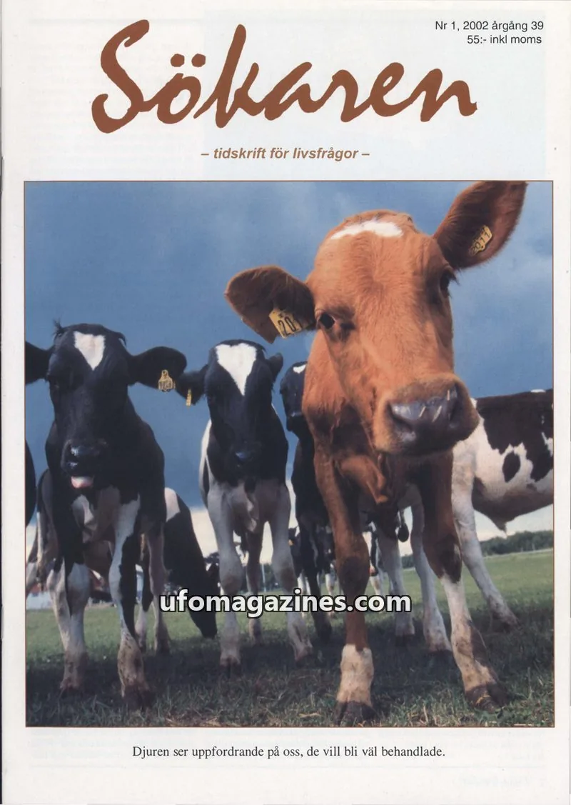 Cover of Sokaren issue 1: Sökaren