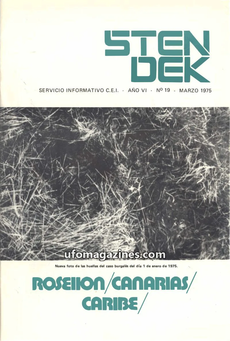 Cover of Stendek (CEI, eISSN 2604-1383) issue 19: STENDEK