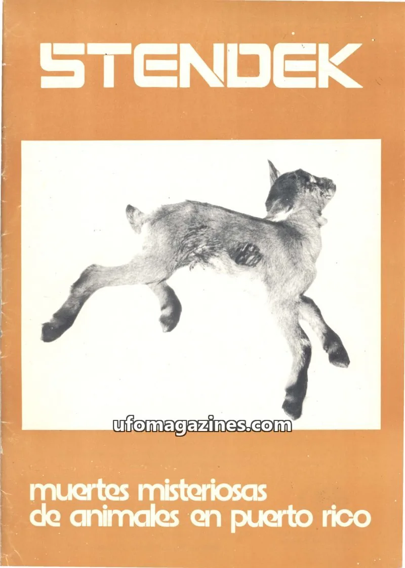 Cover of Stendek (CEI, eISSN 2604-1383) issue 22: STENDEK