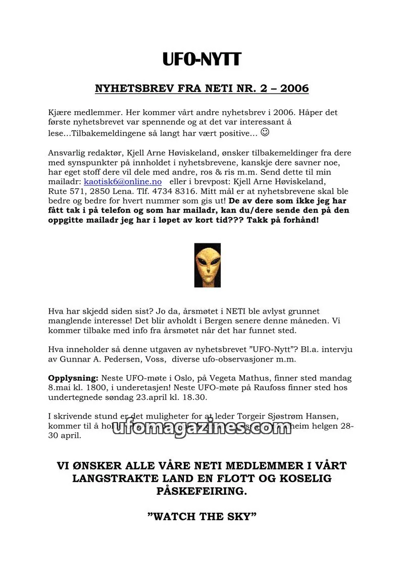 Cover of NETI issue 2: UFO-NYTT
