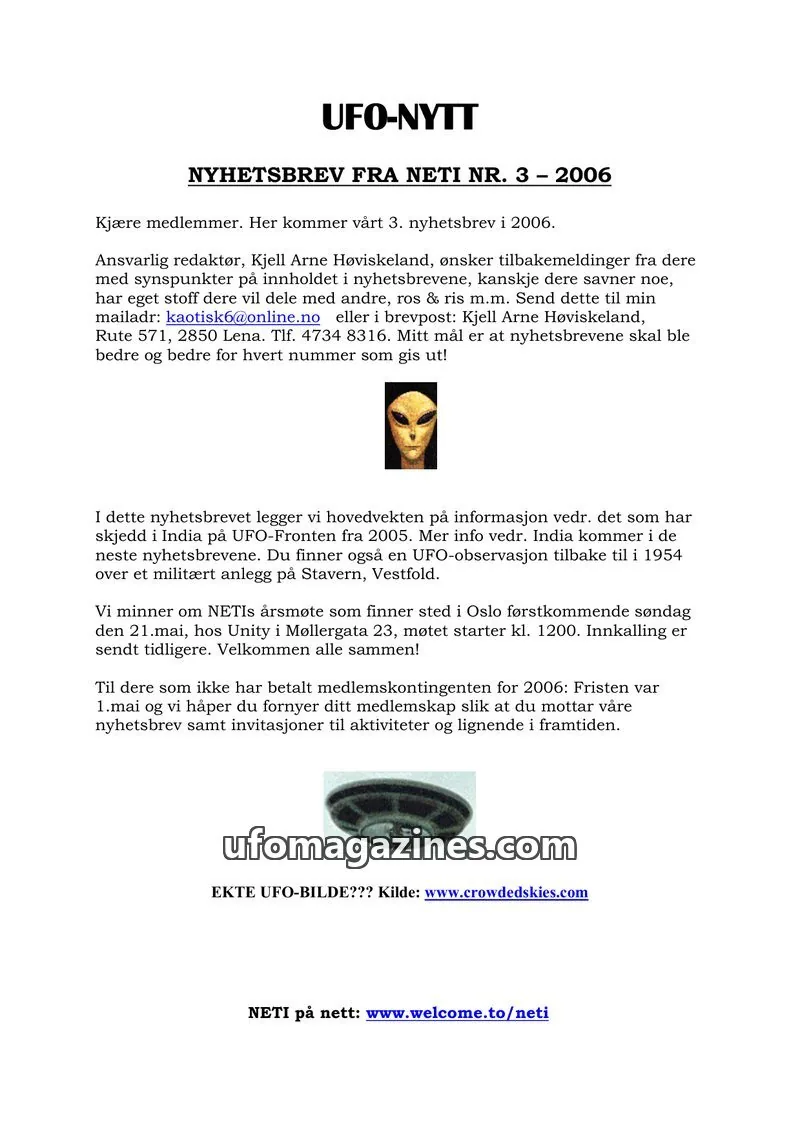 Cover of NETI issue 3: UFO-NYTT