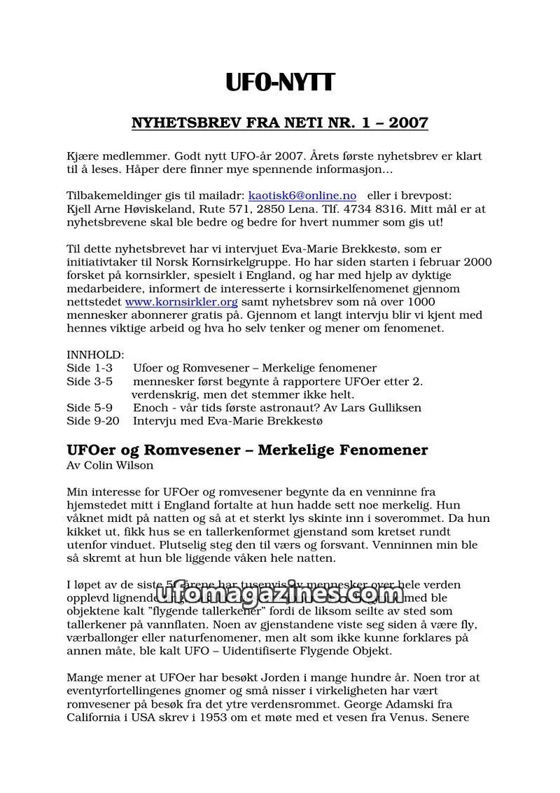 Cover of NETI issue 1: UFO-NYTT