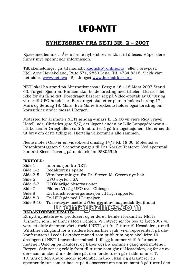 Cover of NETI issue 2: UFO-NYTT