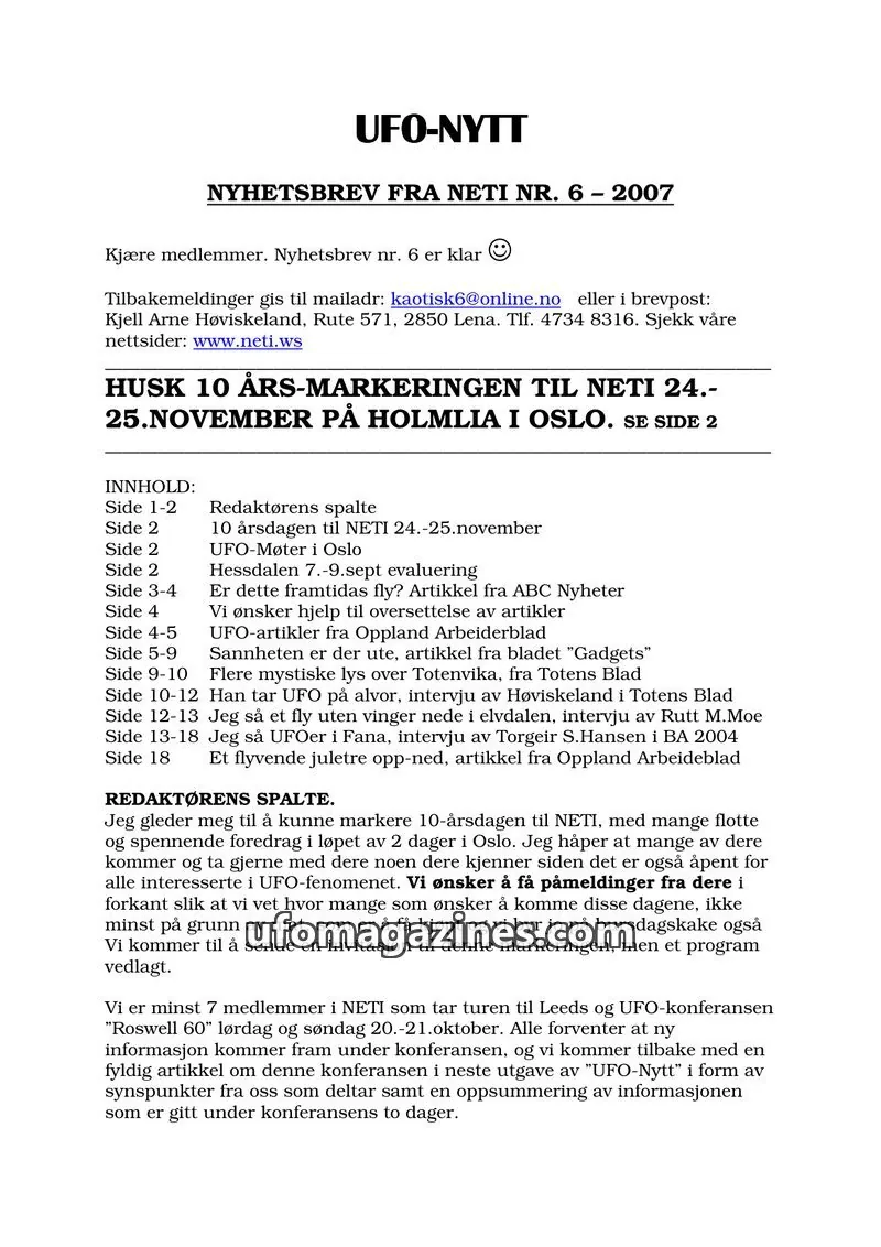 Cover of NETI issue 6: UFO-NYTT