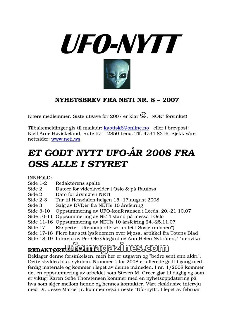 Cover of NETI issue 8: UFO-NYTT