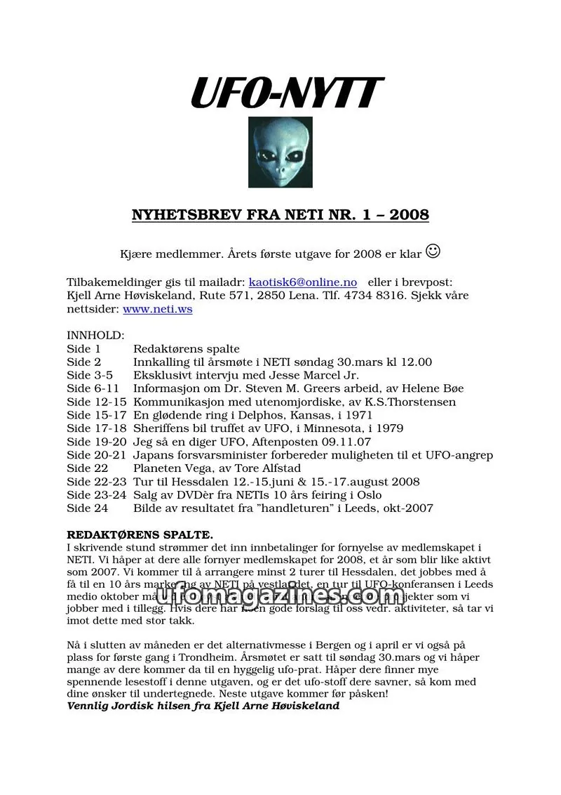 Cover of NETI issue 1: UFO-NYTT
