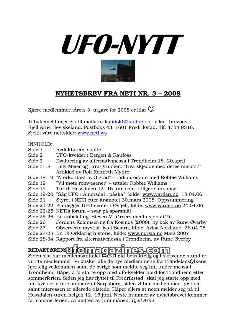 Cover of NETI issue 3: UFO-NYTT