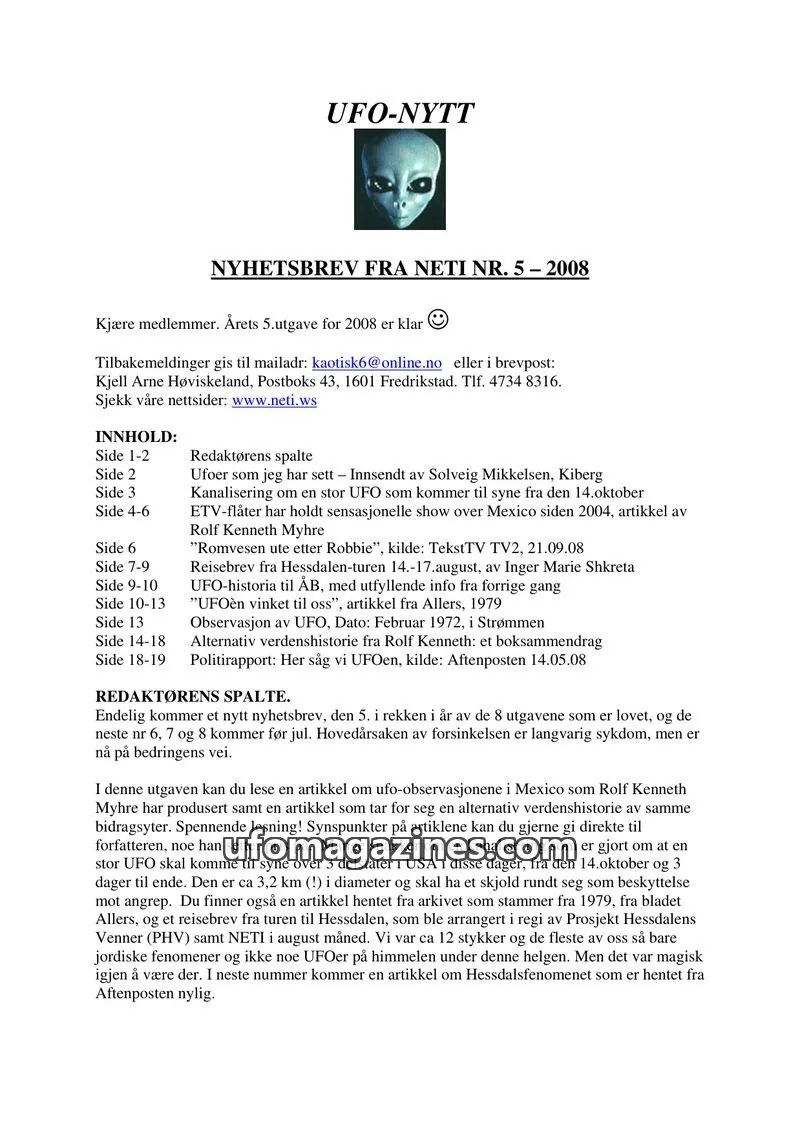 Cover of NETI issue 5: UFO-NYTT