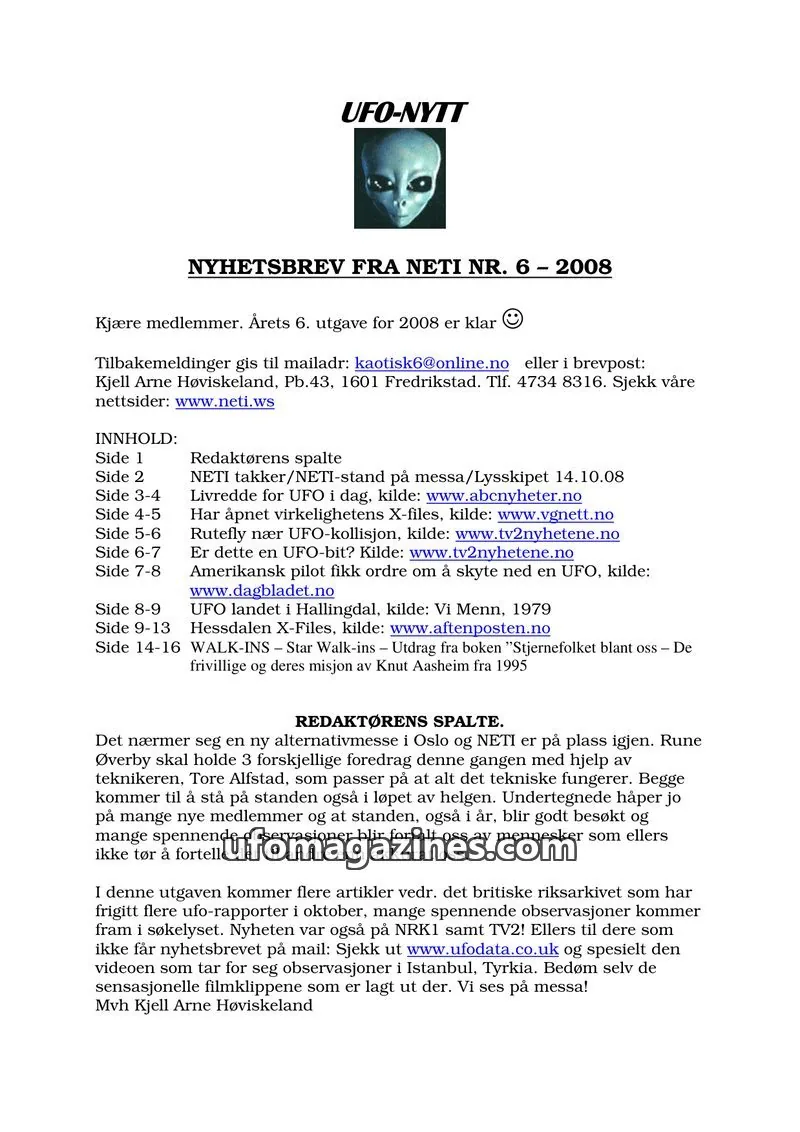 Cover of NETI issue 6: UFO-NYTT