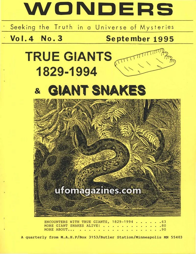 Cover of Mark A. Hall Publications issue Vol.4 No.3: WONDERS